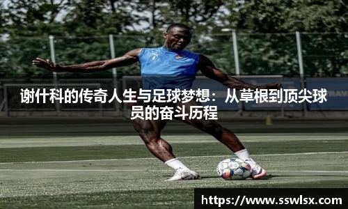 米乐YY易游